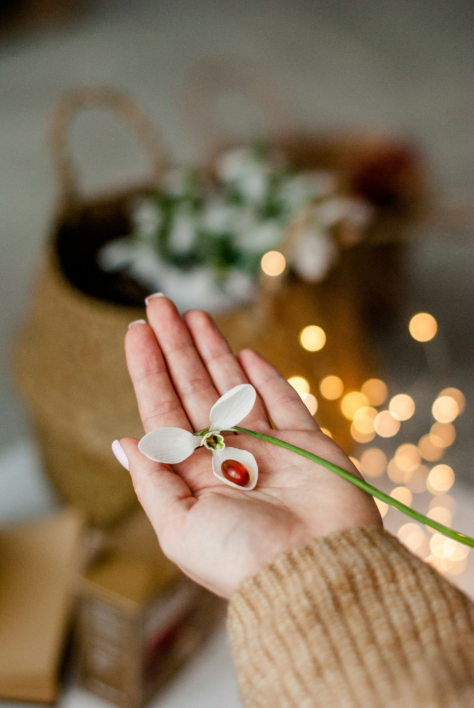 person holding white and red flower