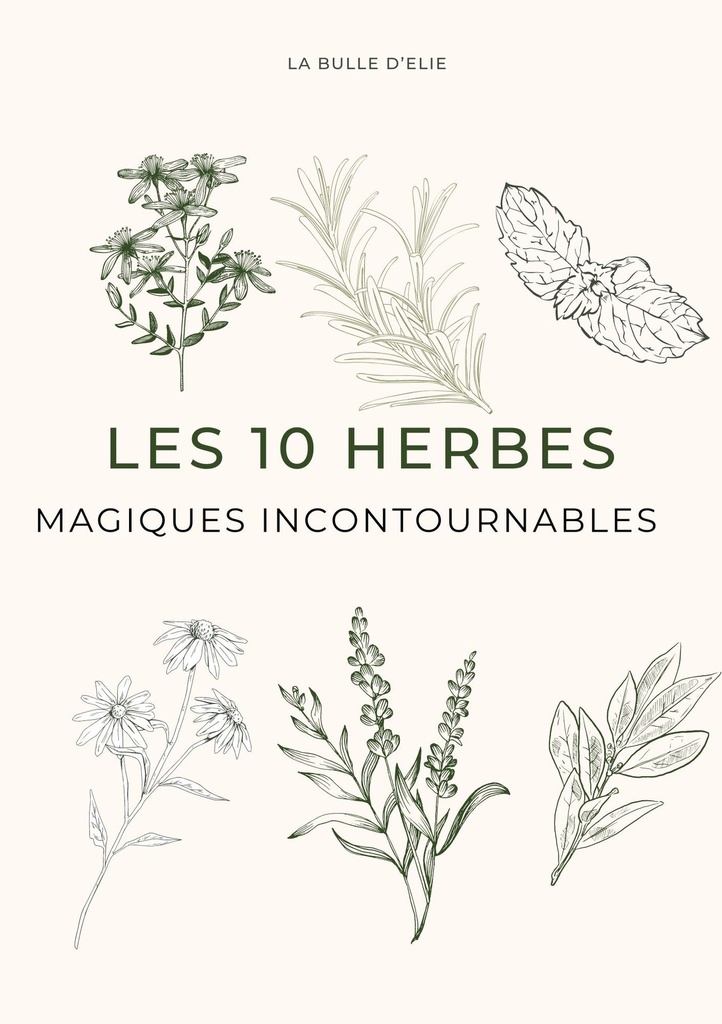 Fiches pratiques "Les 10 herbes magiques incontournables"